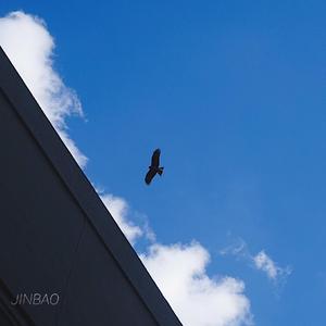 国产精品亚洲一区二区无码四虎
